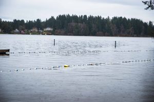 City of Lacey Long Lake Park Safety Improvements Dock Removal Swimming Area