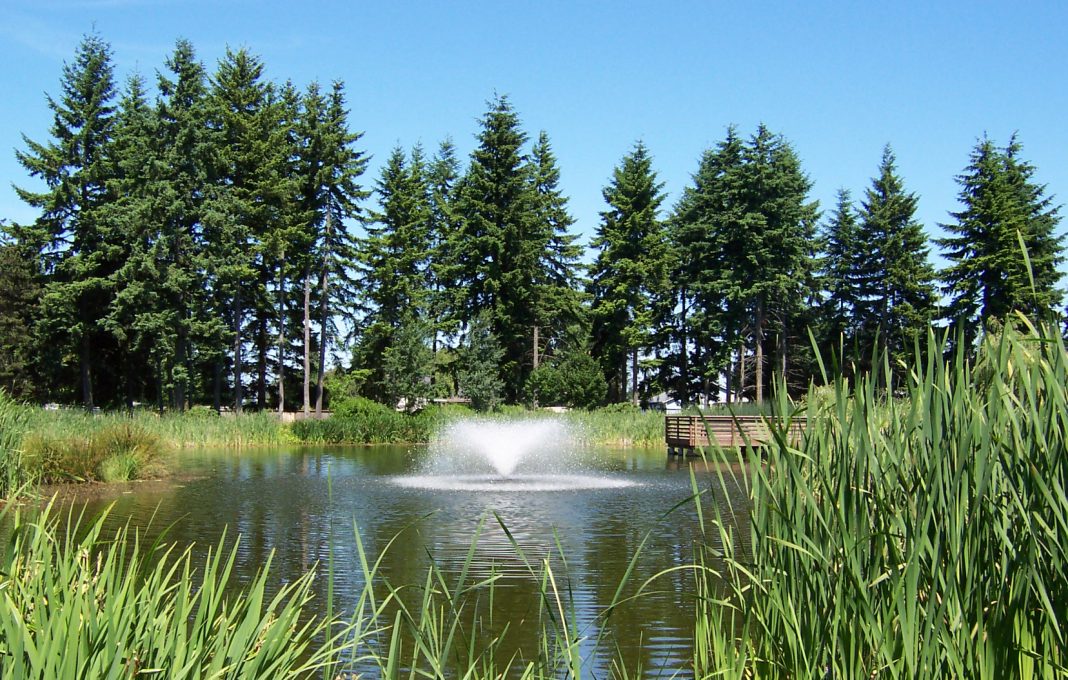 Cochrane Memorial Park Yelm