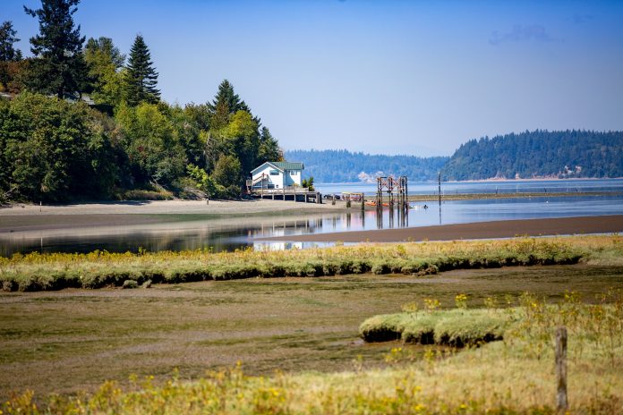 Discover Lacey Nisqually Refuge