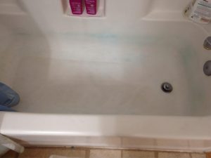 Elite Cleaning blog calling all moms bathroom before