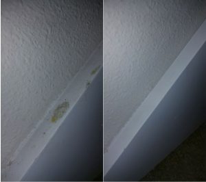 Elite Cleaning blog nose blind baseboard before after