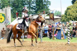 Washington Midsummer Renaissance Festival