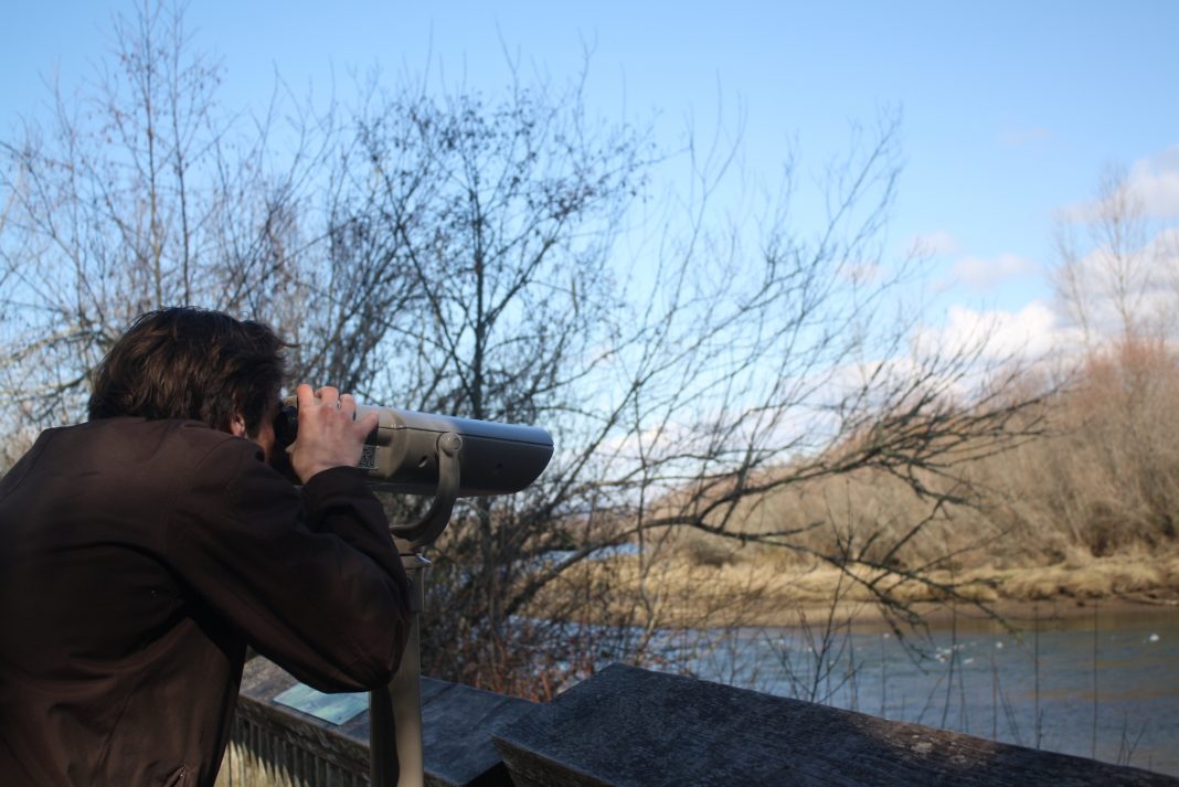 Nisqually viewing wildlife