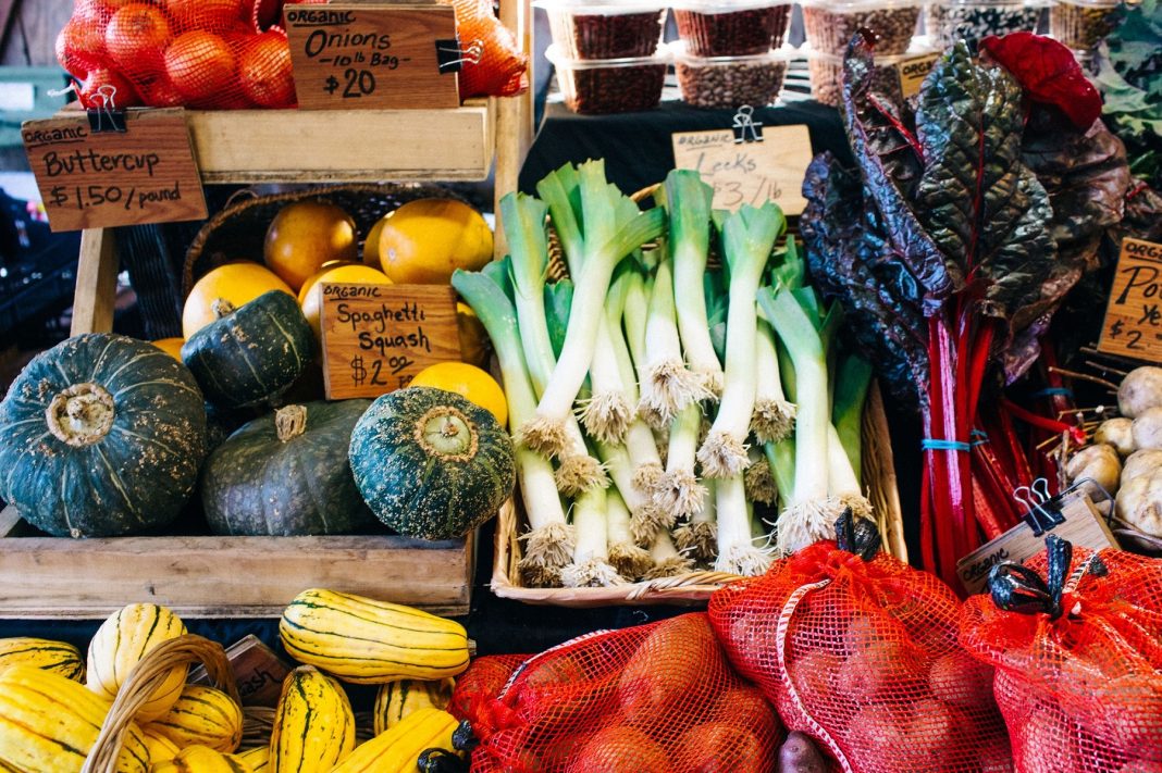 Olympia Farmers Market Stoney Plains Organic Farm