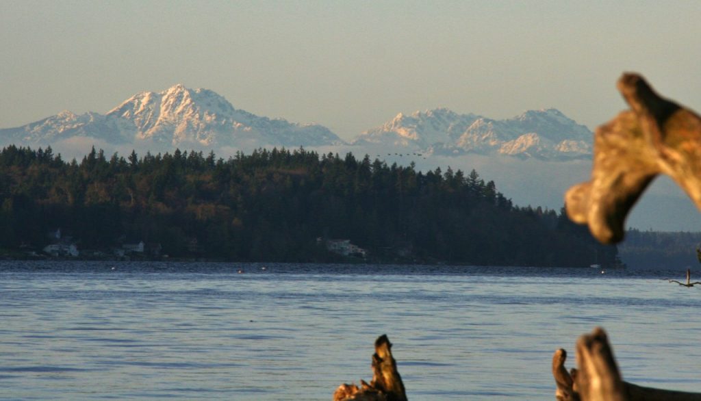 Olympic Mountains from Burfoot Park