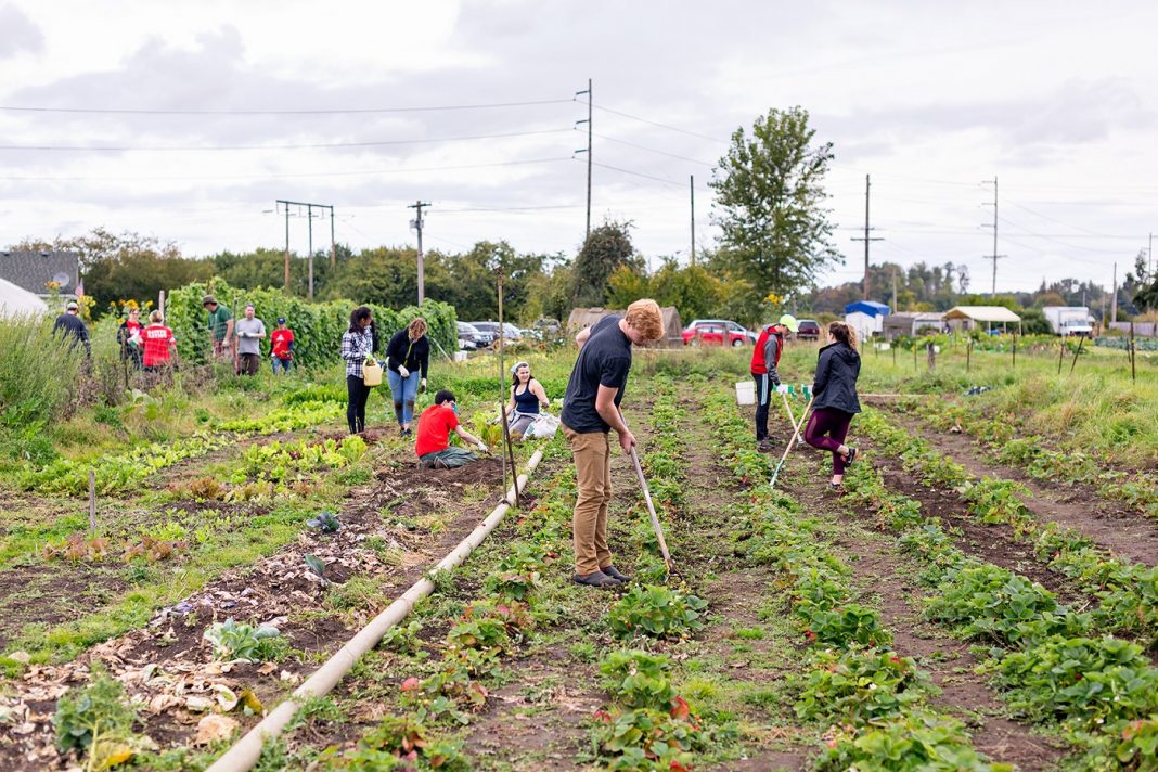 Saint Martins University BenedictineScholars_PigmanFarm63