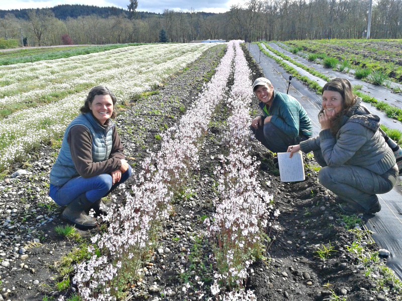 Thurston County Farm Visits South Sound Prairies