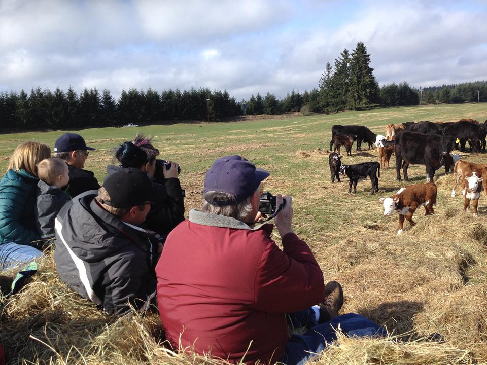 Thurston County Farm Vists Nelson Ranch