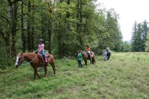 2019 Thurston County Summer Camps Nature Nurtures Farm