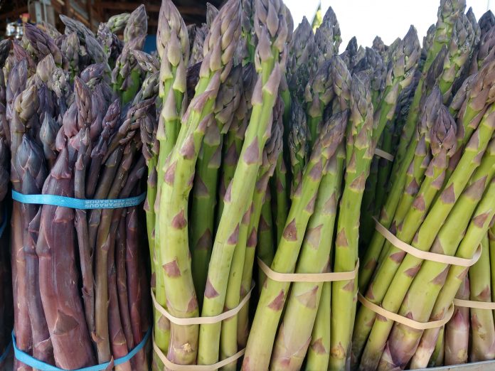 Olympia Farmers Market Asparagus