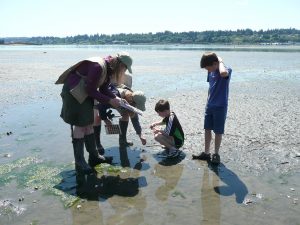 Olympia Parks Arts and Recreation meet the beach