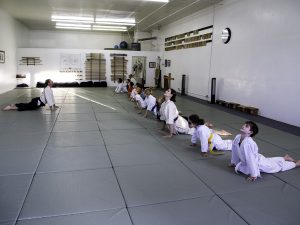 Olympia Parks Arts and Recreation youth aikido