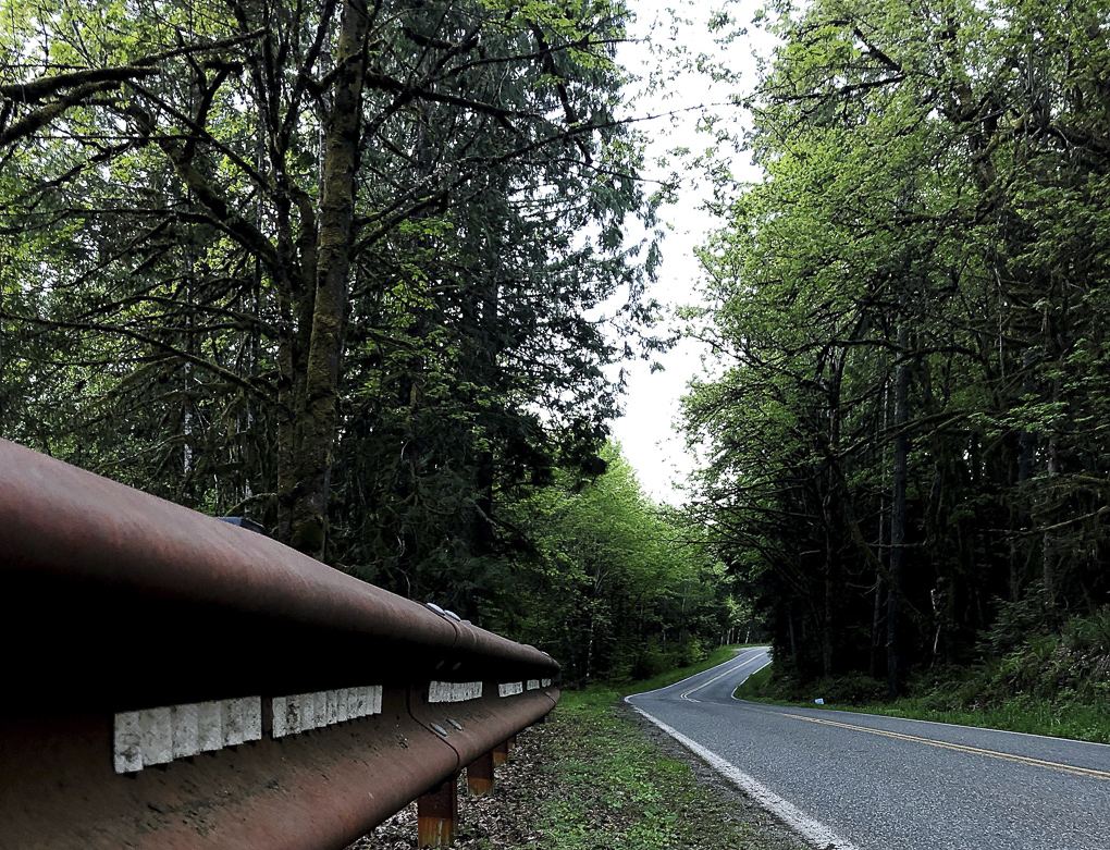 Capitol_Forest_Olympia_Motorcycle_Tire_Easy_Ride_Spring_2