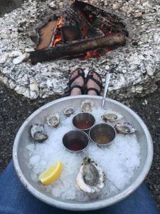 Hood canal oysters