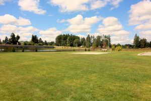 Rob Rice Homes Steilacoom Ridge greenspace