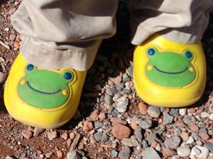 Sequoia Treehouse Summer Camp Frog Shoes