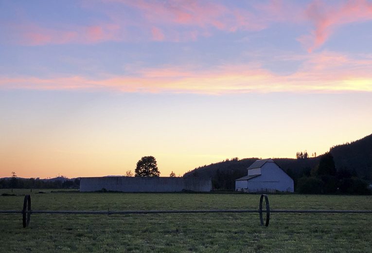 Sunsets_Olympia_Motorcycle_Tire_Easy_Ride_Spring_12