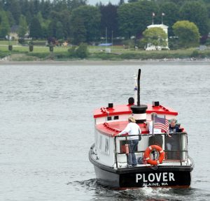 Blaine Plover