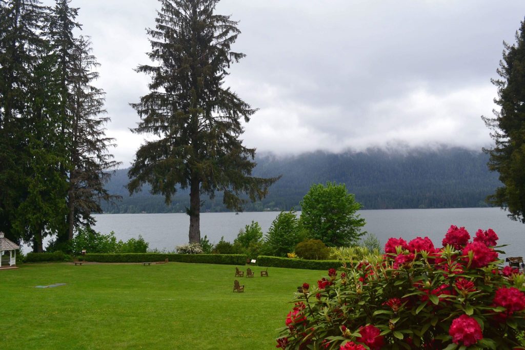 Lake Quinault Lodge Lake with red flowers