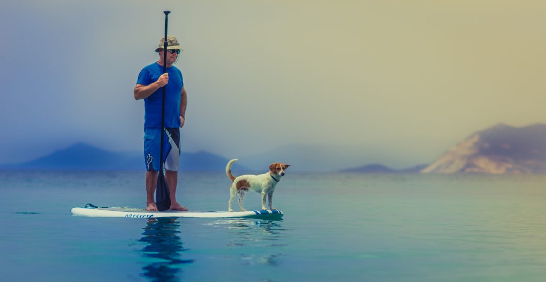 Olympia Federal Savings Companion Paddle Boarding