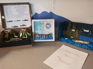 Ridgeline Middle School Nisqually Project