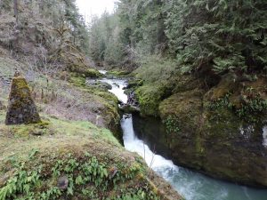 Deschutes Falls Park Thurston County Parks Gorge Courtesy of Thurston County