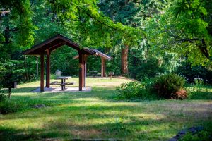 Frye Cove Park Thurston County Parks Picnic Shelter by Molly Walsh