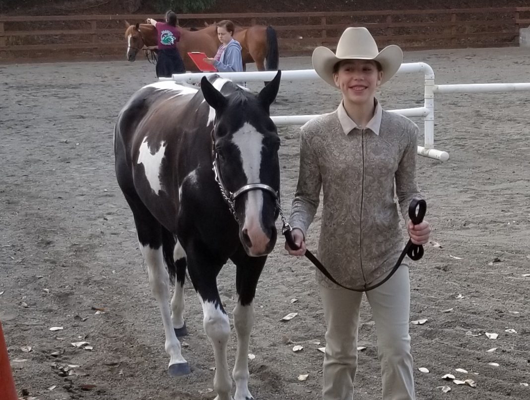 Katelyn Dorsey South Bay Horse 4H Thurston County Fair