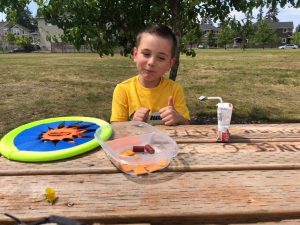 Kid on a picnic