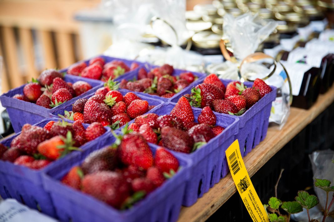 Olympia Farmers Market Berry Harvest Celebration Burnt Ridge Nursery Booth