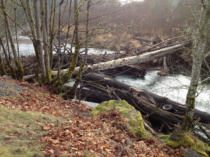 River Flooding