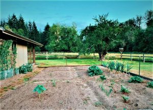 Sequoias Farm and Forest School Olympia 3