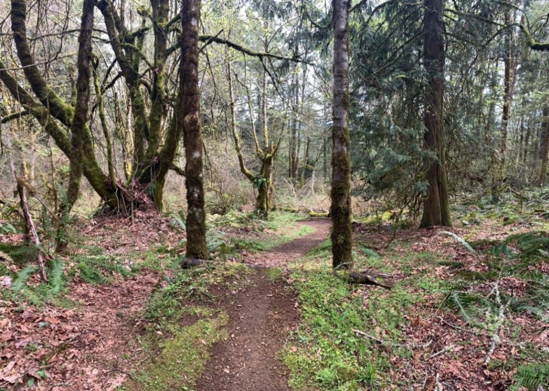 Trail at Kaiser Woods Olympia