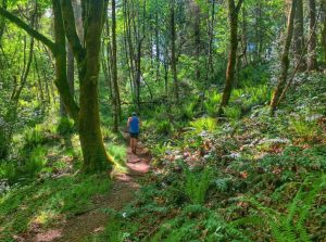 Kaiser Woods Thurston County