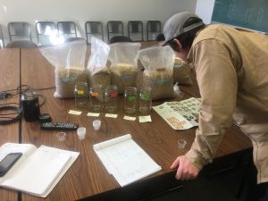WSU barley research