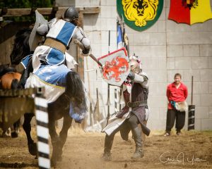 Washington Midsummer Renaissance Faire YetterKnights