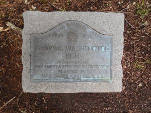 Washington elm marker