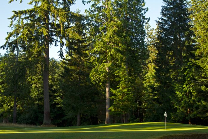 Whatcom County Golf Courses Lake Padden