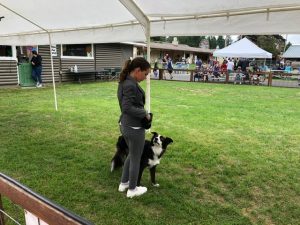 Adopt A Pet Rescue dog Story Lilie and Abbi at Fair