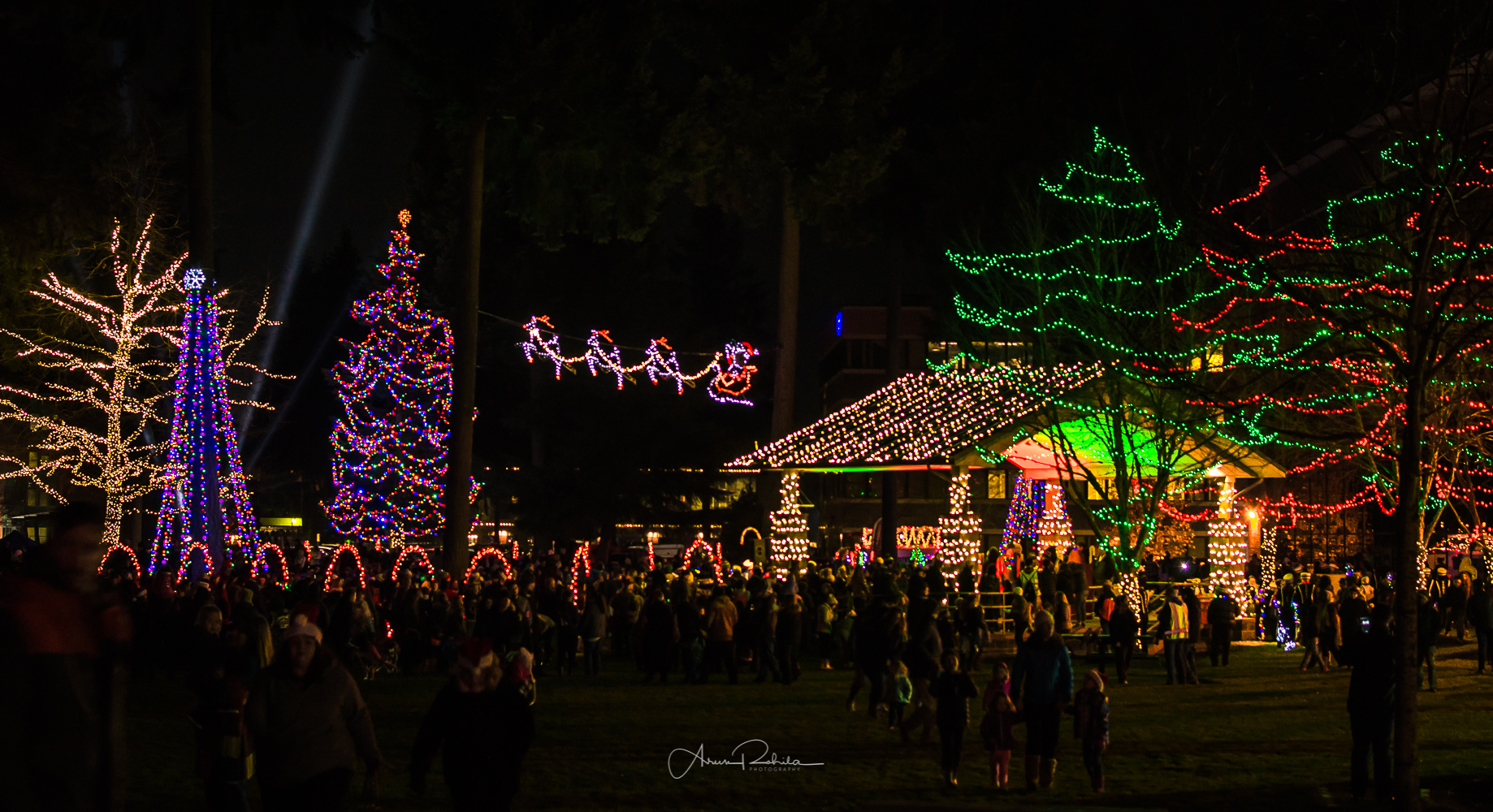 Lacey Parade of Lights and Lighting of the Christmas Tree ThurstonTalk