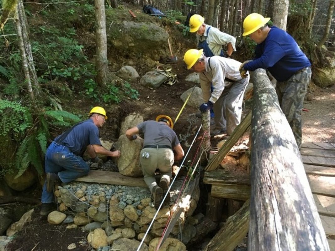 Trail Crew Bridge Repair