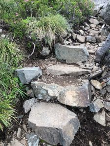 Trail on Mt Ellinor