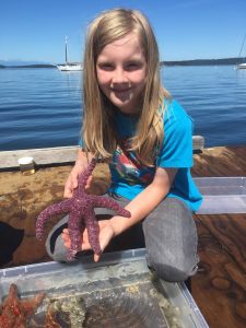 Boston Harbor Marine Creature Mondays