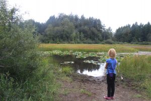 grass lake nature area in olympia