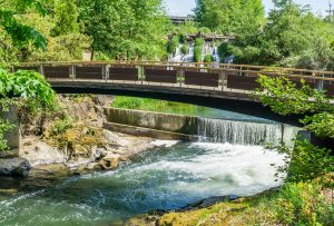 Rob-Rice-Homes-New-Homes-in-Tumwater-Falls-Bridge
