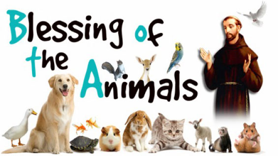 Blessing of the Animals - ThurstonTalk