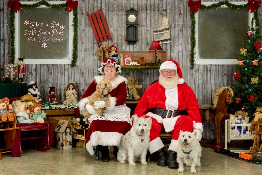 Santa Photos Olympia Adopt A Pet Santa Paws