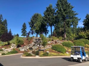 waterfall and golf cart at Olympia Country and Golf Club