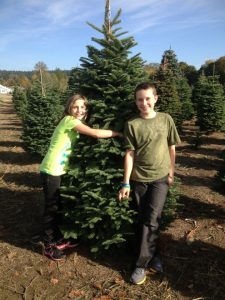 Christmas Tree Farms Thurston County Schilters