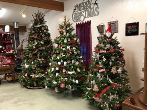 Christmas Trees Thurston County Hunter Family Farm